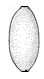Ellipsoid